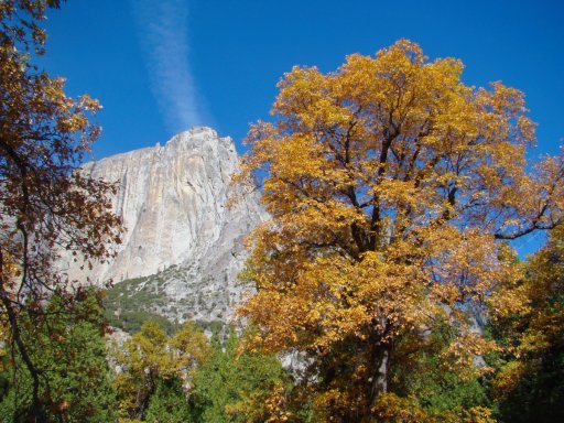 Fall-Color-at-Yosemite-16