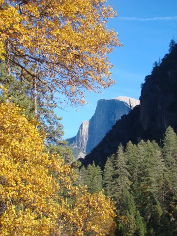 Fall-Color-at-Yosemite-22