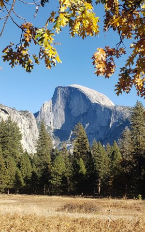 Fall-Color-at-Yosemite-26