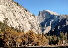 Fall-Color-at-Yosemite-28