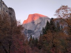 Fall-Color-at-Yosemite-30