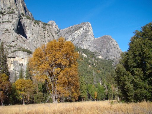 Fall-Color-at-Yosemite-31