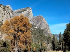 Fall-Color-at-Yosemite-32
