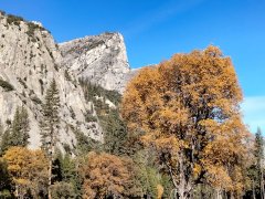 Fall-Color-at-Yosemite-33