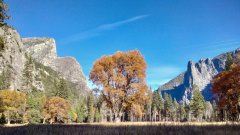 Fall-Color-at-Yosemite-34