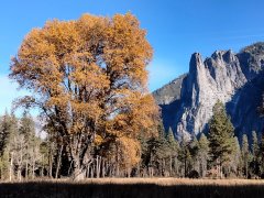 Fall-Color-at-Yosemite-35