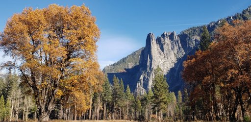 Fall-Color-at-Yosemite-36