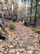 Fall-Color-at-Yosemite-40