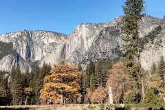 Fall-Color-at-Yosemite-42