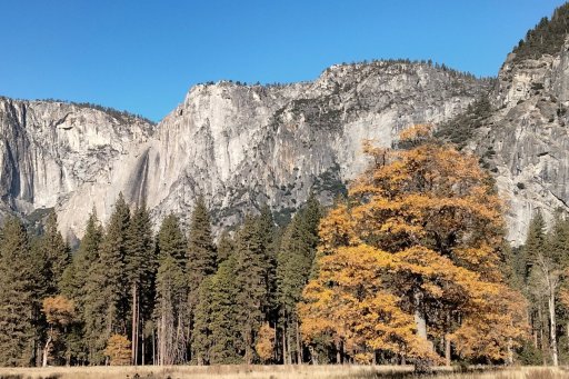 Fall-Color-at-Yosemite-43