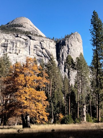 Fall-Color-at-Yosemite-44