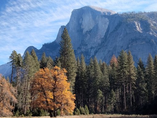 Fall-Color-at-Yosemite-45