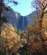 Fall-Color-at-Yosemite-47