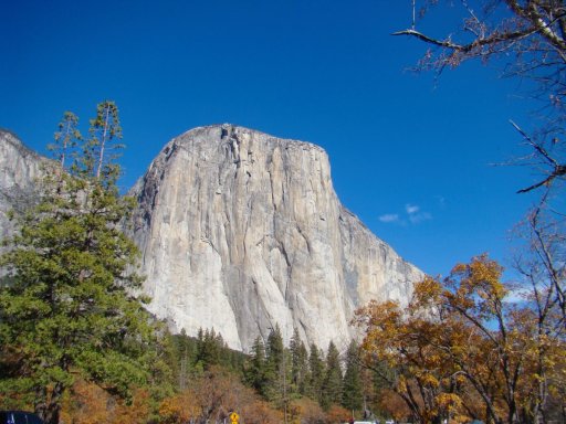 Fall-Color-at-Yosemite-48