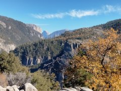 Fall-Color-at-Yosemite-50