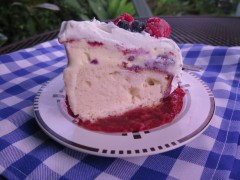 Slice-of-Ice-Cream-Cake-with-Raspberry-Sauce-IMG_3780_1