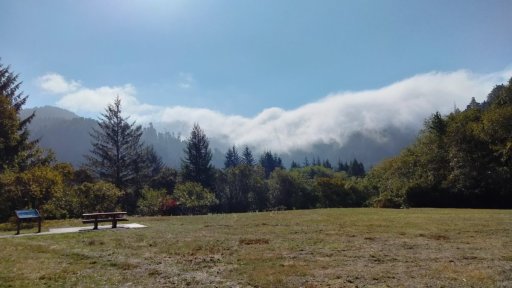 Exploring-Fern-Canyon-01