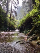 Exploring-Fern-Canyon-05