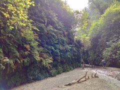 Exploring-Fern-Canyon-09