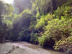 Exploring-Fern-Canyon-10