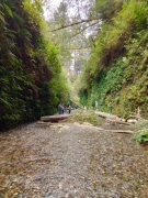 Exploring-Fern-Canyon-15