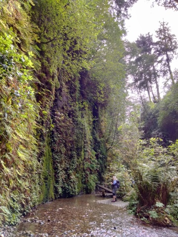 Exploring-Fern-Canyon-16