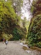 Exploring-Fern-Canyon-21