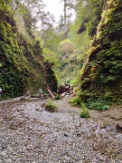 Exploring-Fern-Canyon-24