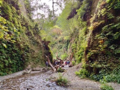 Exploring-Fern-Canyon-26