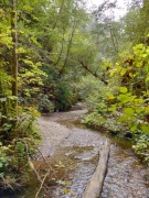 Exploring-Fern-Canyon-33