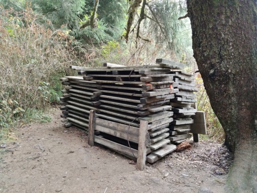 Exploring-Fern-Canyon-40