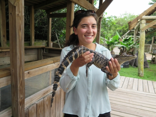 Alligator - 2 - with Caroline - IMG_4315.JPG