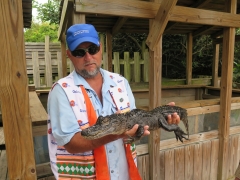 Alligator - 3 - with guide - IMG_4323.JPG