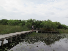 Island - IMG_4335.JPG