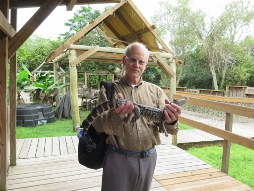 Marc - Alligator - Island - IMG_4322.JPG