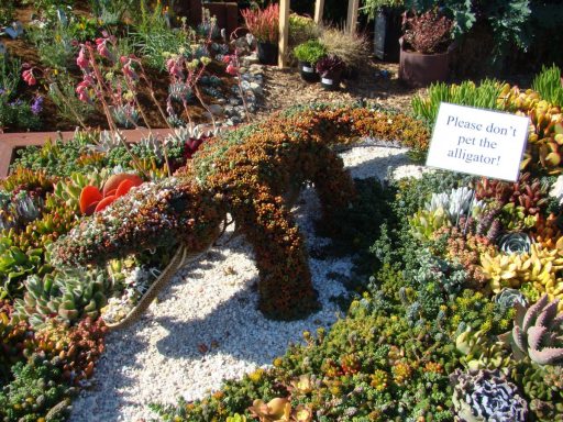 Flower-Fields-flower-beds-05