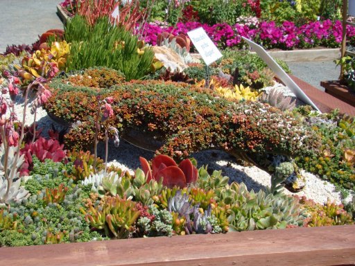 Flower-Fields-flower-beds-06
