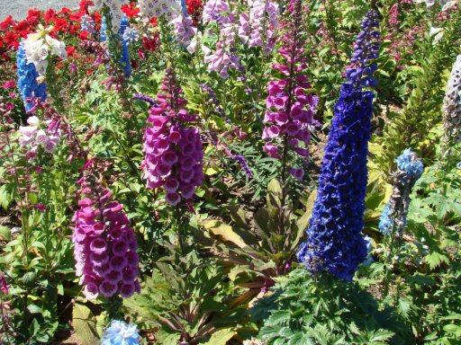 Flower-Fields-flower-beds-08