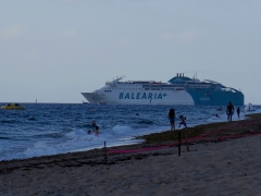 Ferry Leaves - IMG_3865_1.jpg
