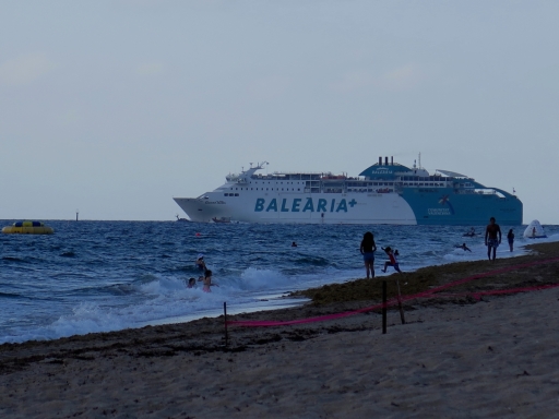 Ferry Leaves - IMG_3865_1.jpg