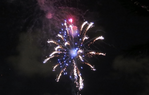 Fireworks - 1 - IMG_3894_1.jpg