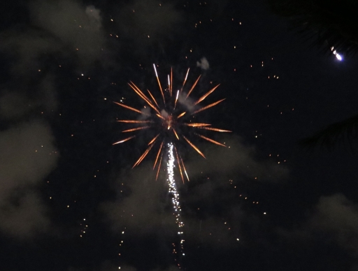Fireworks - 2 - IMG_3881_1.jpg