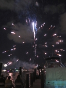 Fireworks - 3 - IMG_3899_1.jpg