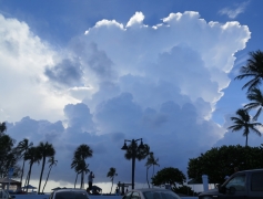 Storm - IMG_3843_1.jpg