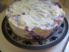 Ice-Cream-Cake-removed-from-Springform-Pan-IMG_3743
