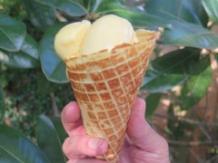 Instant-peach-ice-cream