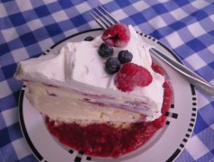 Fourth of July Picnic