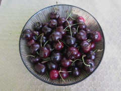 Ripe-Cherries-2-IMG_6410_1