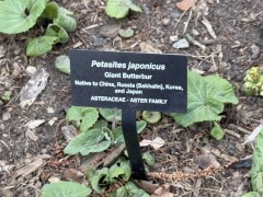 Chinese-Flowers-Sign