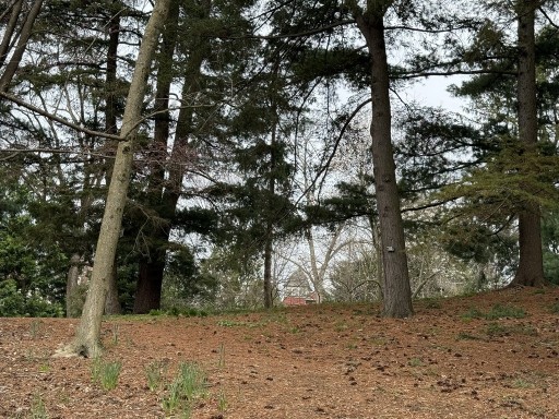 Grove-of-Trees-with-building-in-distance